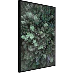 Arkiio Affisch Flying Over Forest [Poster] 30x45 Poster